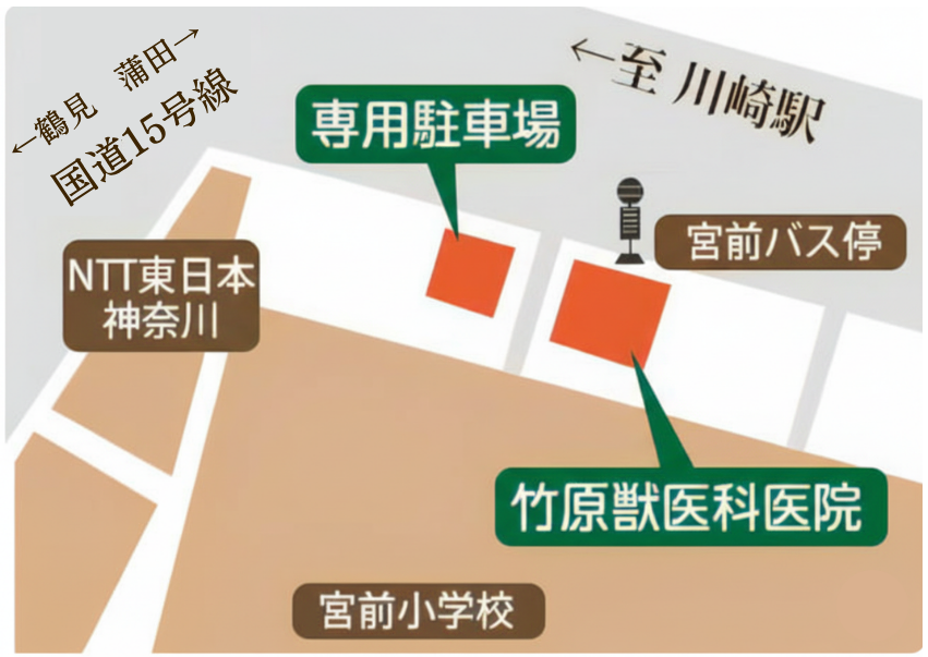 お車でご来院の方は、「竹原獣医科医院　専用駐車場」をご利用ください