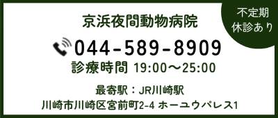 京浜夜間動物病院